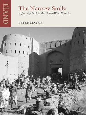 cover image of The Narrow Smile